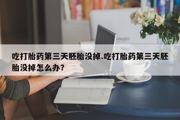 流产药吃打胎药第三天胚胎没掉.吃打胎药第三天胚胎没掉怎么办？