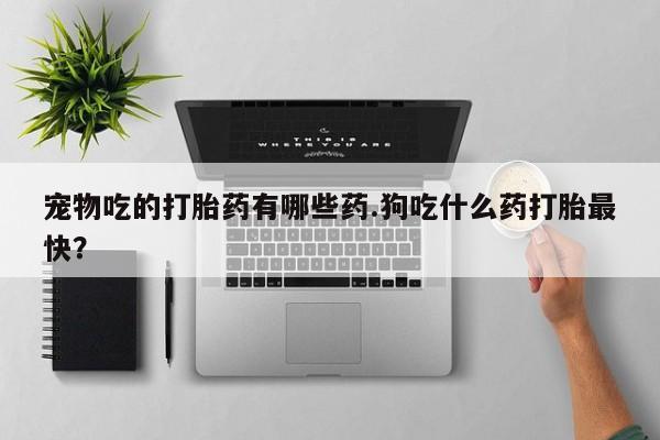 流产药宠物吃的打胎药有哪些药.狗吃什么药打胎最快？
