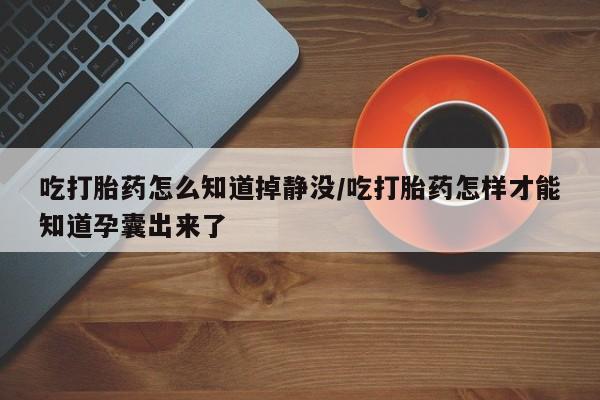 流产药吃打胎药怎么知道掉静没/吃打胎药怎样才能知道孕囊出来了