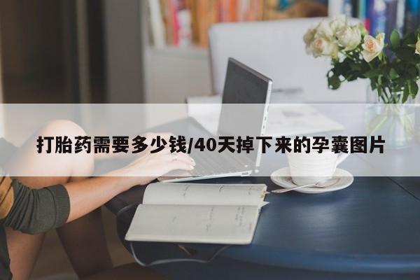 流产药打胎药需要多少钱/40天掉下来的孕囊图片